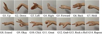 Principal component analysis of photoplethysmography signals for improved gesture recognition